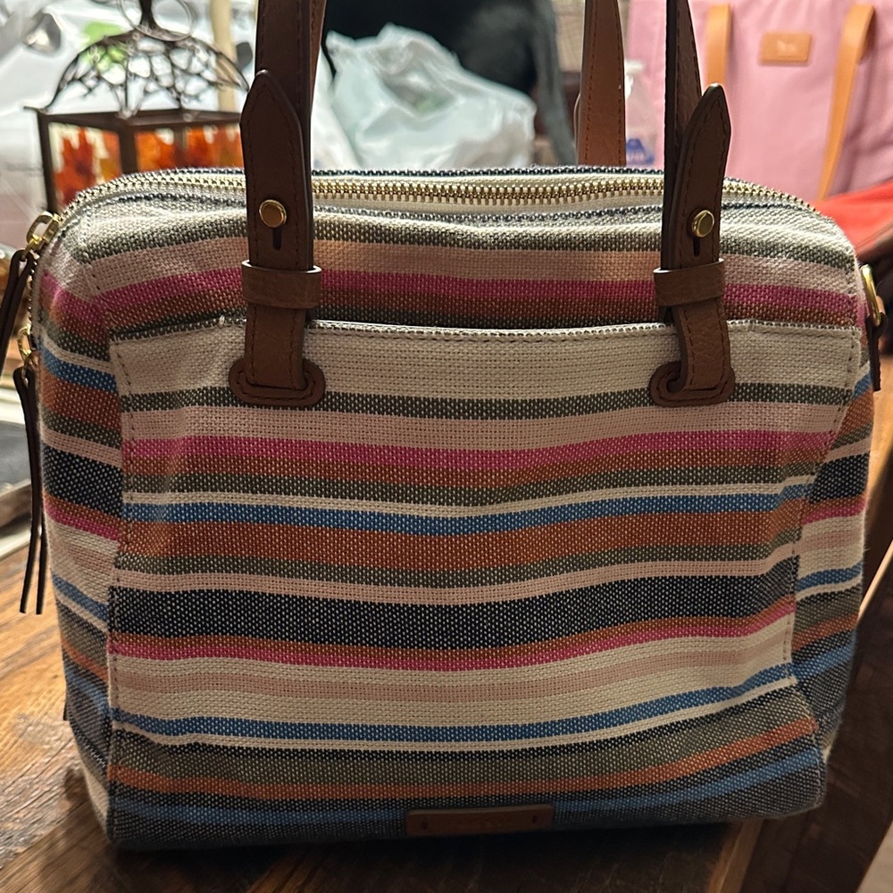 Fossil Multicolor Striped Satchel